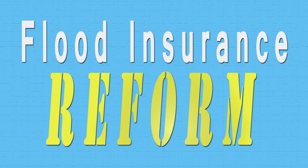 Flood Insurance Reform