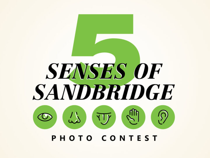 The 5 Senses of Sandbridge Photo Contest