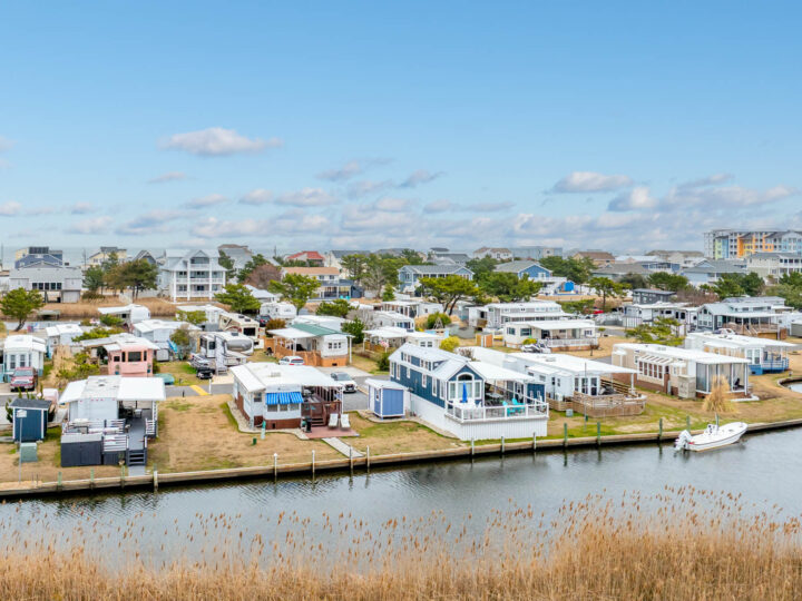 The SBH Newsletter – April 2025